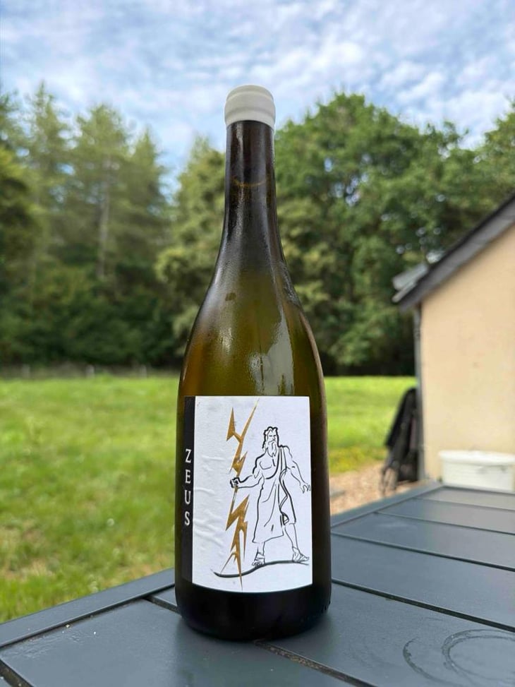 Zeus - Divin Loire - Aude Clavier -2023
