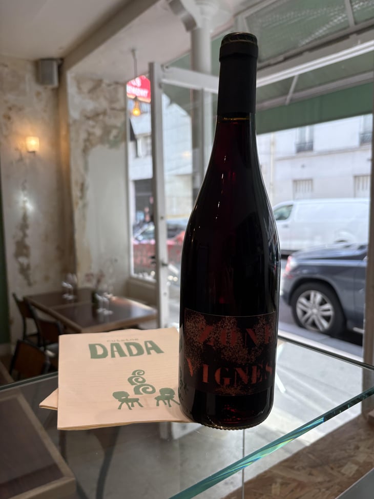 ZONE VIGNE - Domaine Des Trouillères - Camille & Mikael Hyvert -2022