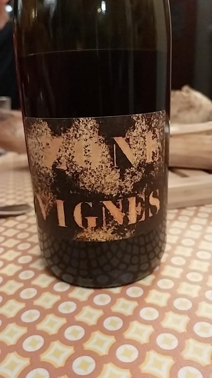ZONE VIGNE - Domaine Des Trouillères - Camille & Mikael Hyvert -2022