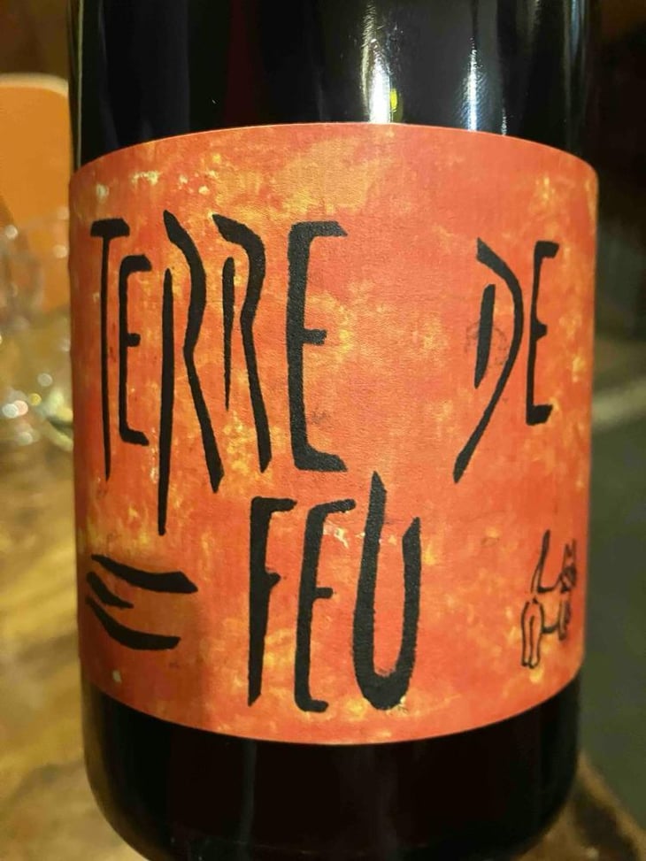 Terre de Feu Rouge - Les Foulards Rouges - jean-francois-nicq -2024