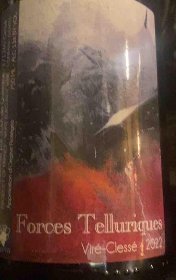 Forces telluriques - Domaine Guillemot-Michel - sophie-gautier-roussille -2022