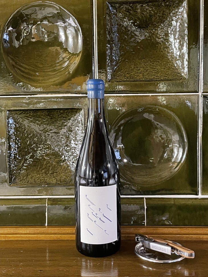 Viti Da Seme - Azienda Agricola Foradori - elisabetta-foradori -2022