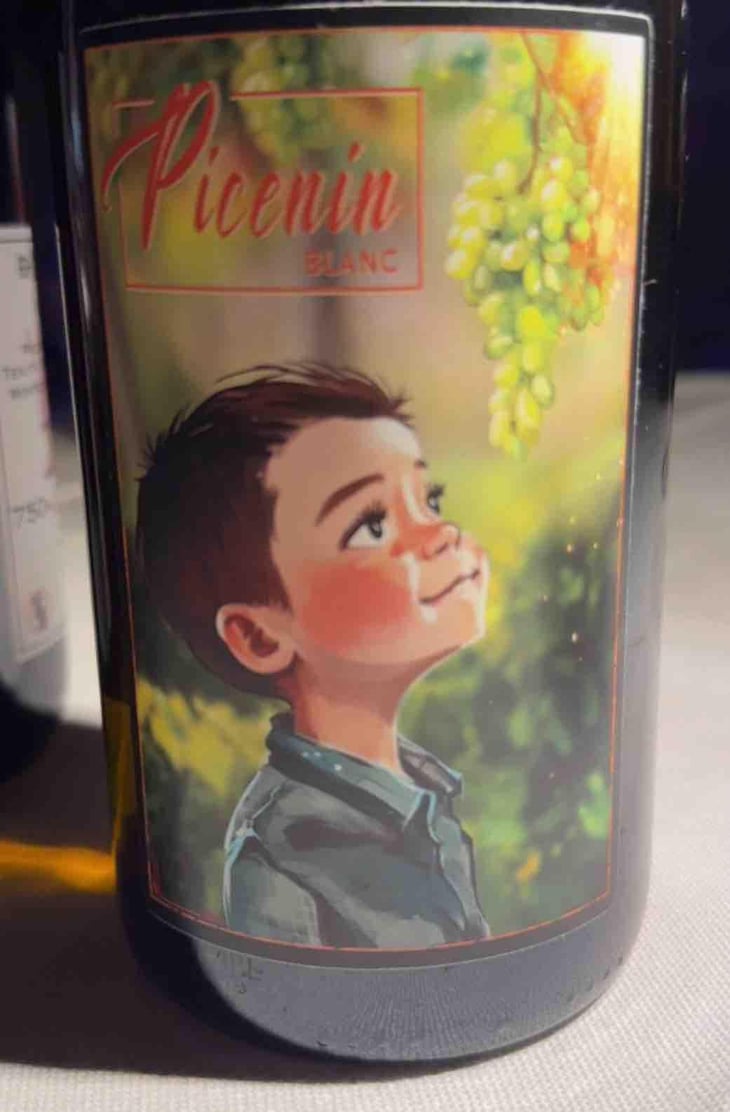 Picenin - Tenuta l’armonia - andrea-pendin -2022