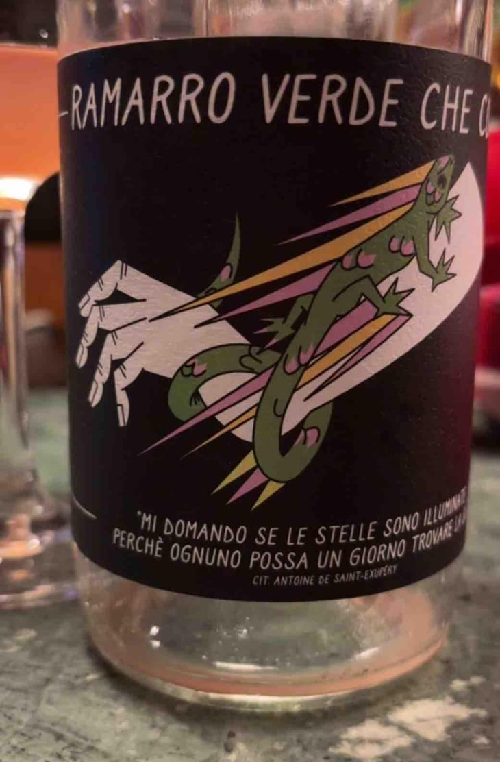 Ramarro verde che corre - Tenuta l'Armonia - andrea-pendin -2022