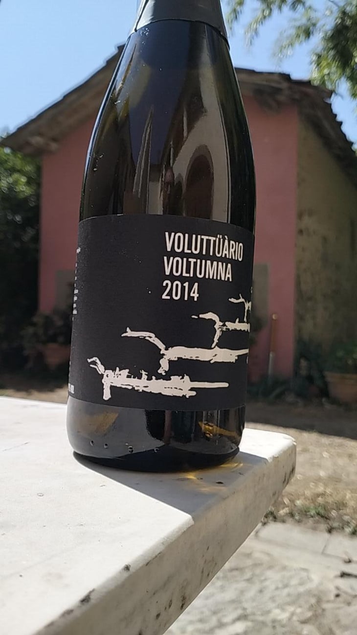 Voluttüàrio - Voltumna - marzio-politi -2014