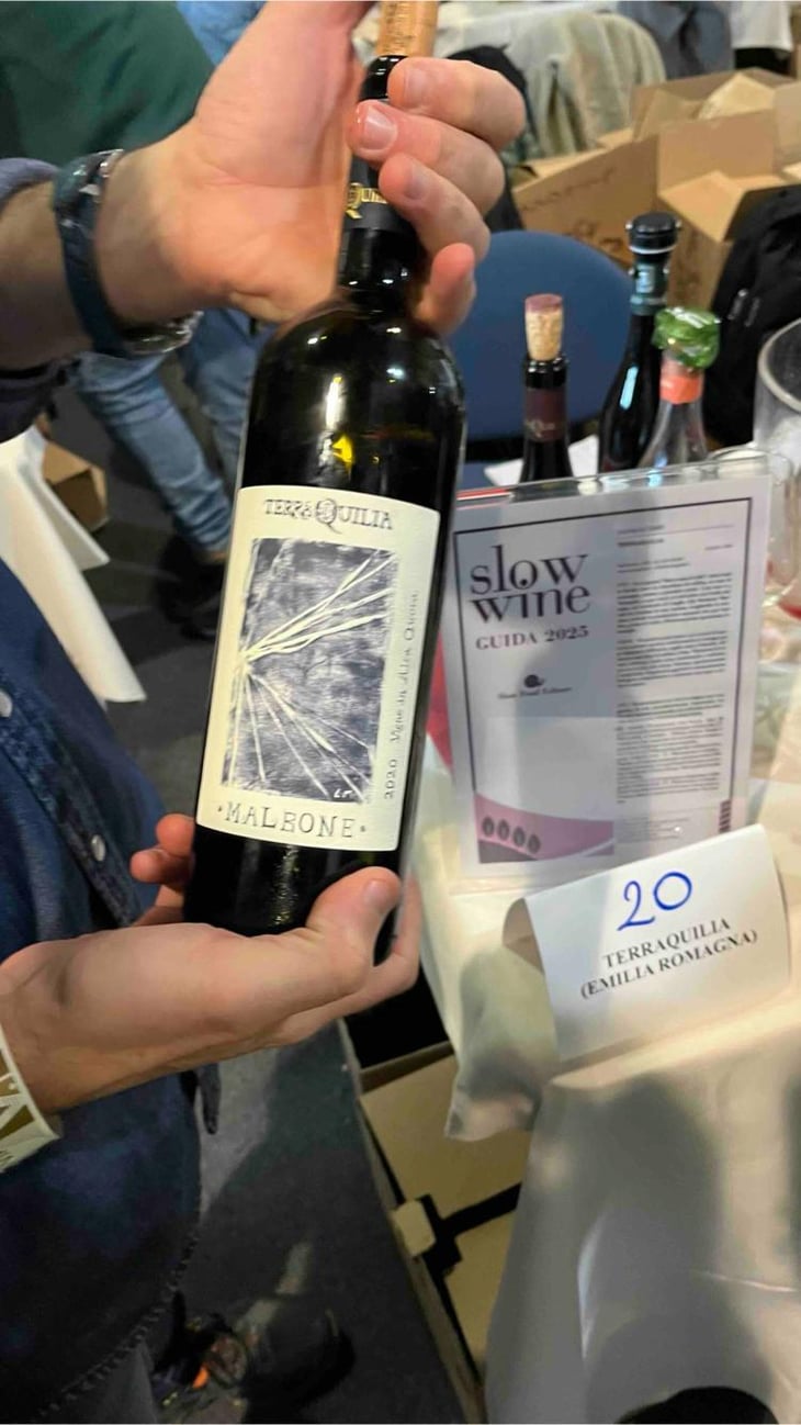 Malbone - TerraQuilia Società Agricola S.S. - romano-giorgia-mattioli -2020