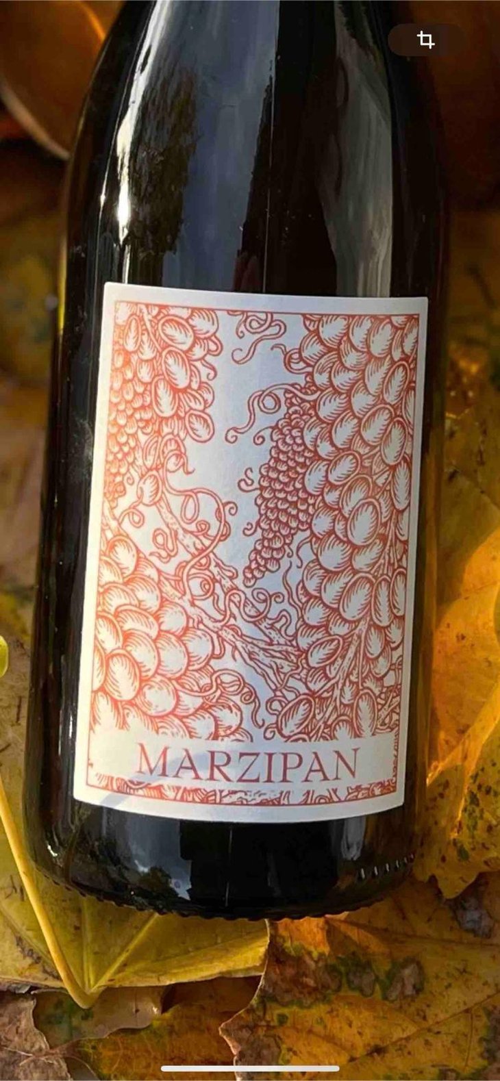 Marzipan - Paul Barlet - Paul Barlet -2020