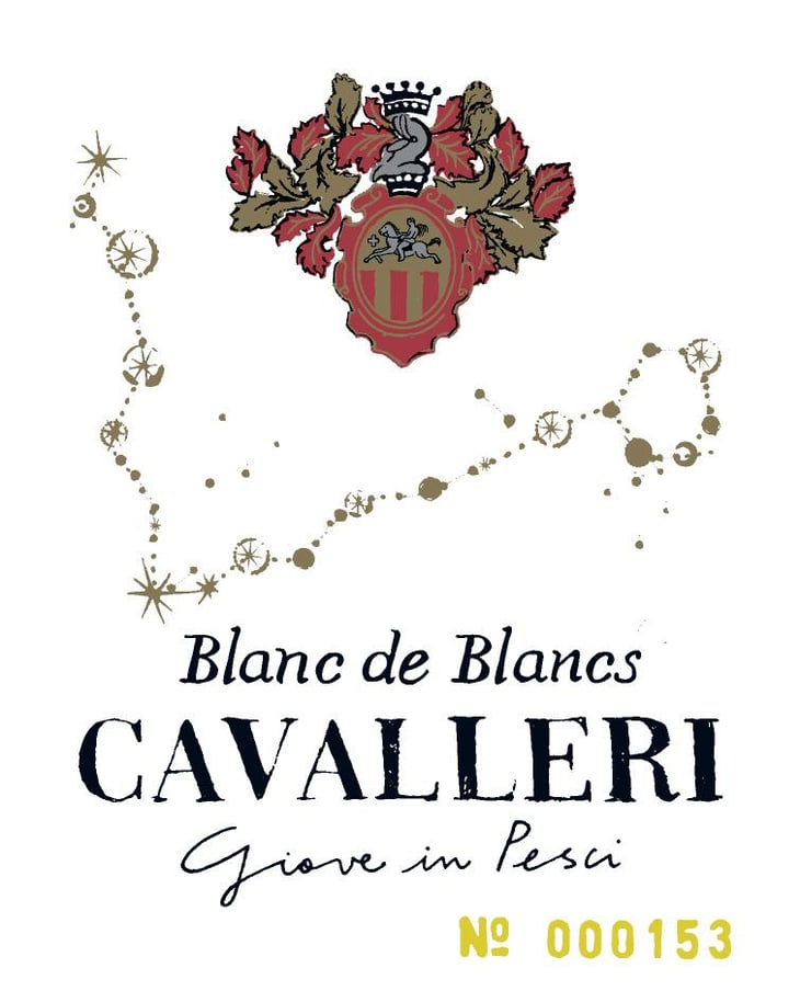 Blanc de Blanc - Azienda Agricola Gian Paolo e Giovanni Cavalleri - diletta-nember-e-francesco-franzini -2021