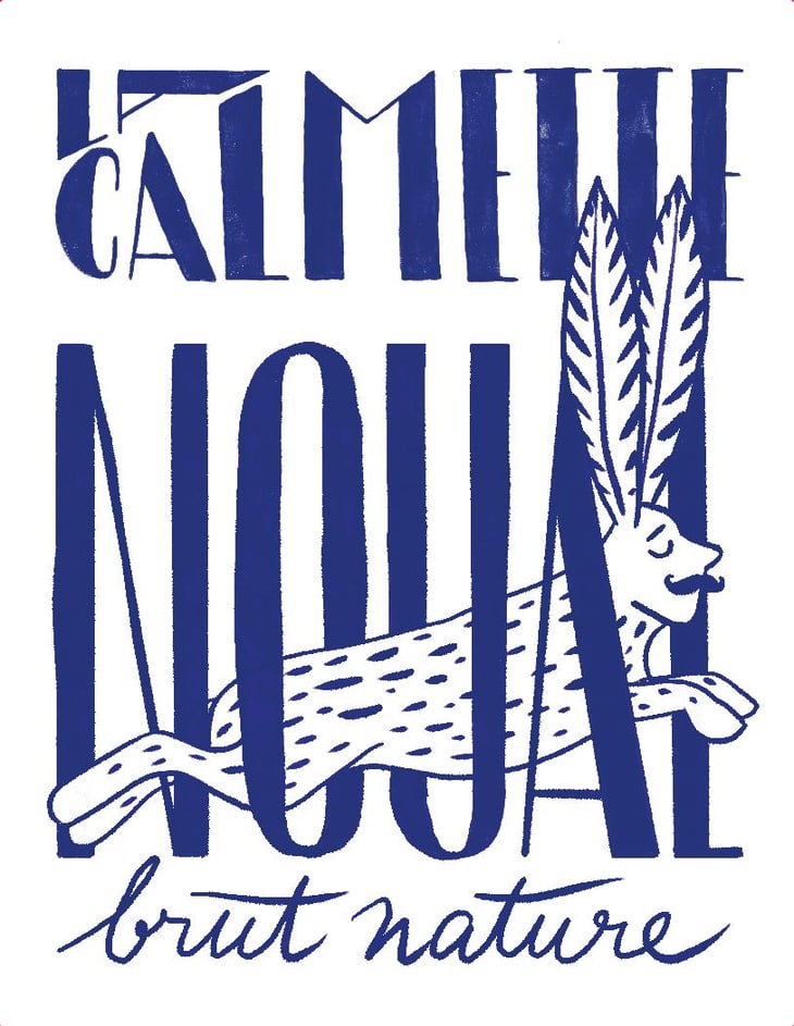 Noual pet nat brut nature - Domaine de la Calmette - maya-sallee-nicolas-fernandez 