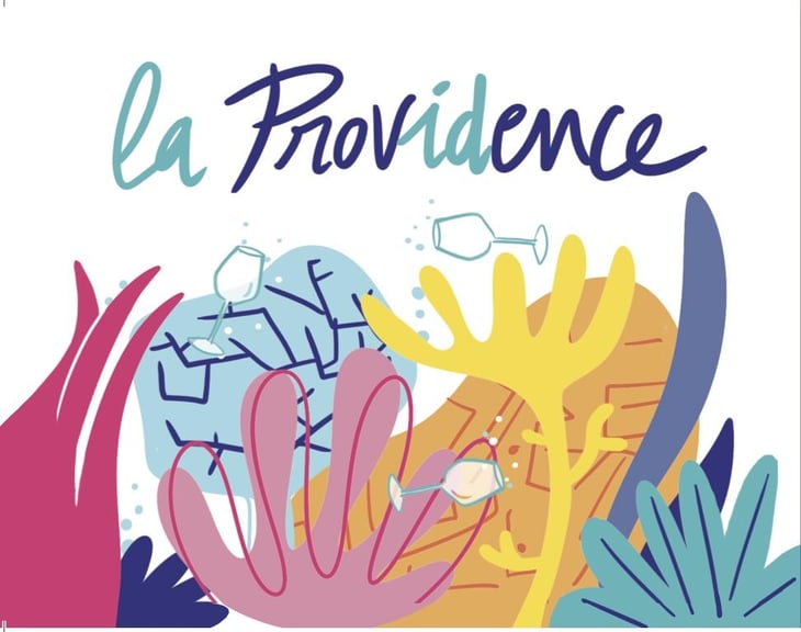 BIB Blanc - Domaine La Providence - benedicte-jean-benoit-comor -2025