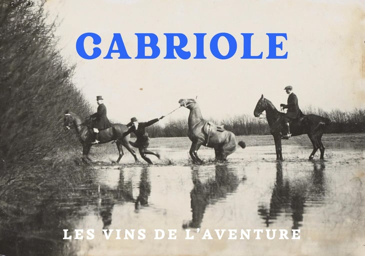 CABRIOLE - Les vins de l'aventure - segolene-guer-richard-vallet 