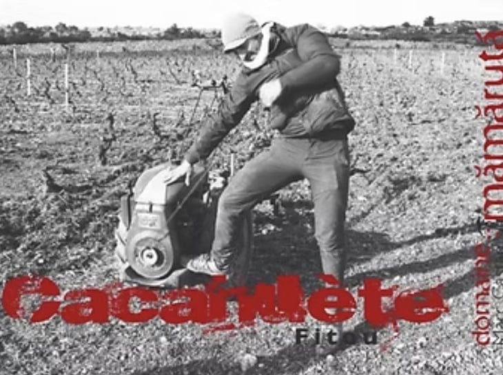 Cacahuète - Domaine Mamaruta - marc-castan 