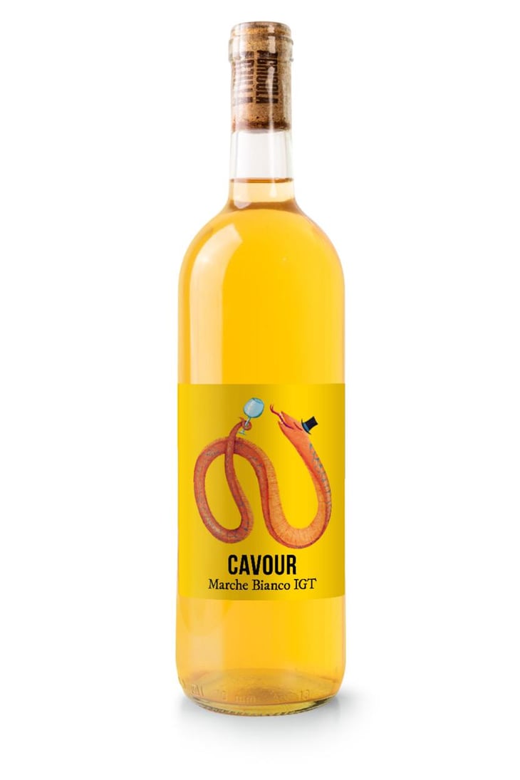 Cavour 2022 - Agricola Arzilla - shayle-lambie-shaw -2021