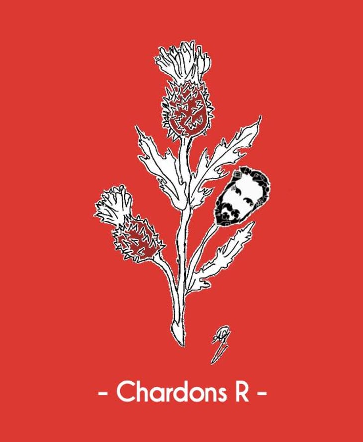 Chardons R - Domaine Delettre - stephane-delettre -2020