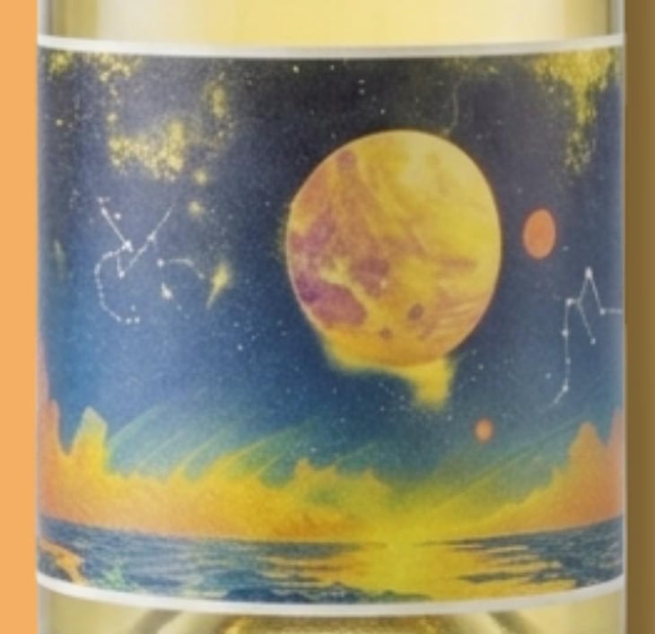 Constellation - Jan-Philipp Bleeke - Winemaking - jan-philipp-bleeke -2023