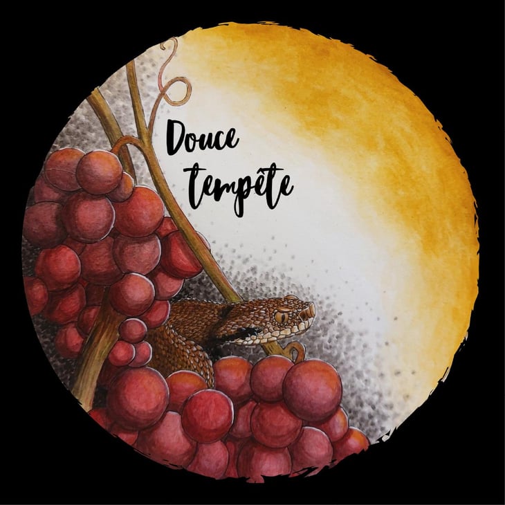 Douce tempête - Oxymore - guilhem-henriot-remi-thomas -2024