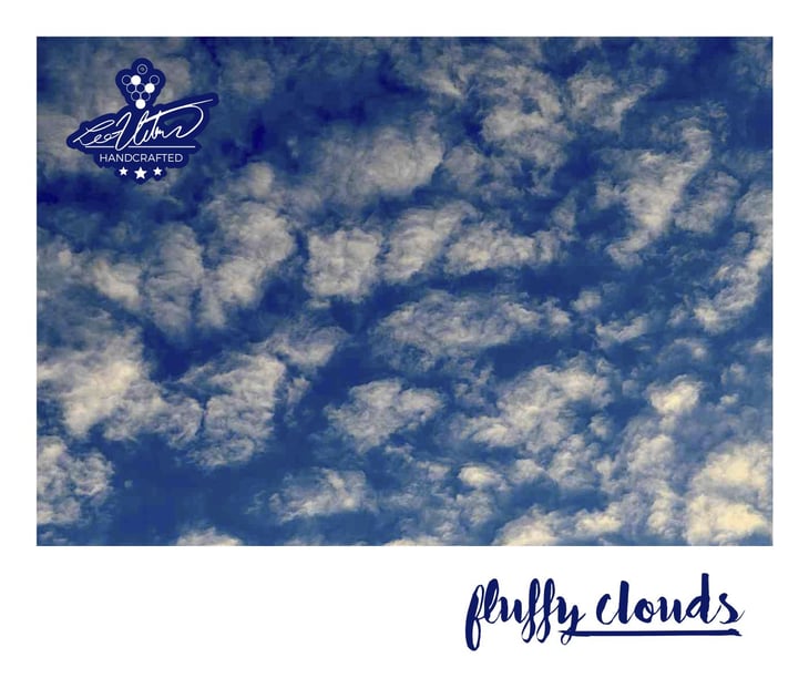 Fluffy Clouds - Weinhof Uibel - michaela-leo-uibel -2023