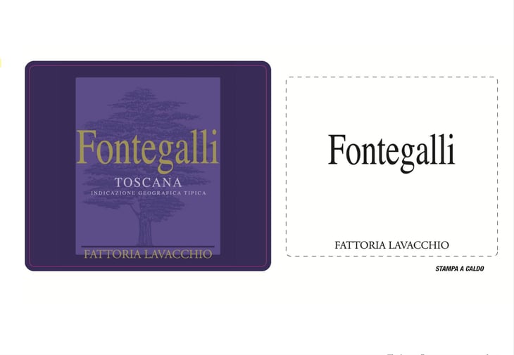 Fontegalli - Fattoria Lavacchio Biowinery - faye-lottero-5c 