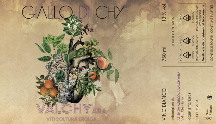 Giallo di Chy - Azienda Agricola Valchyara - valentina-constantin-hurjui 