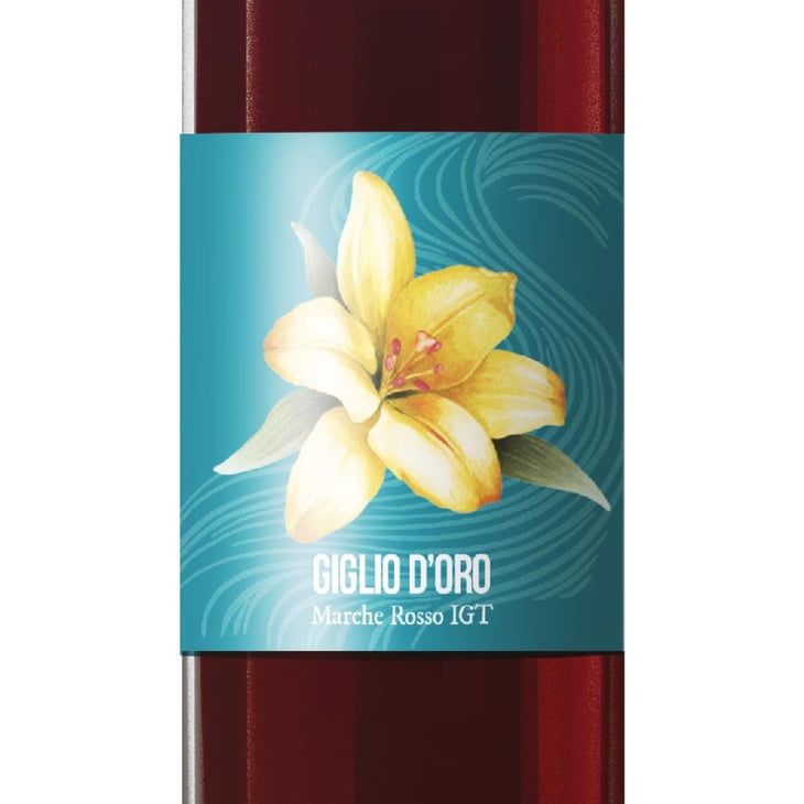 Giglio d'oro - Agricola Arzilla - shayle-lambie-shaw -2023