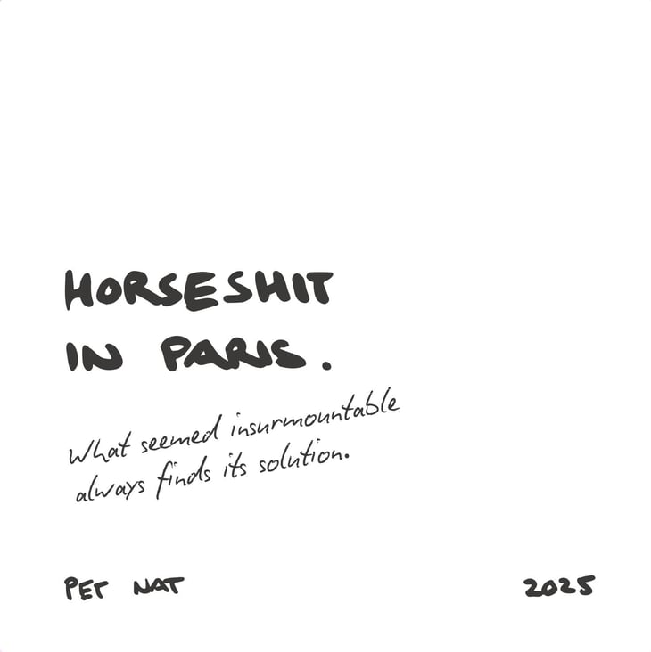 Horseshit in Paris - Simon Haag - simon-haag 
