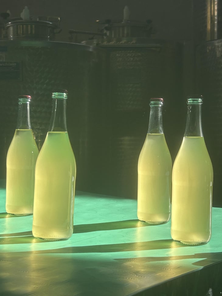 Umbria Bianco Frizzante IGT - Società Agricola Annesanti - francesco-annesanti -2025