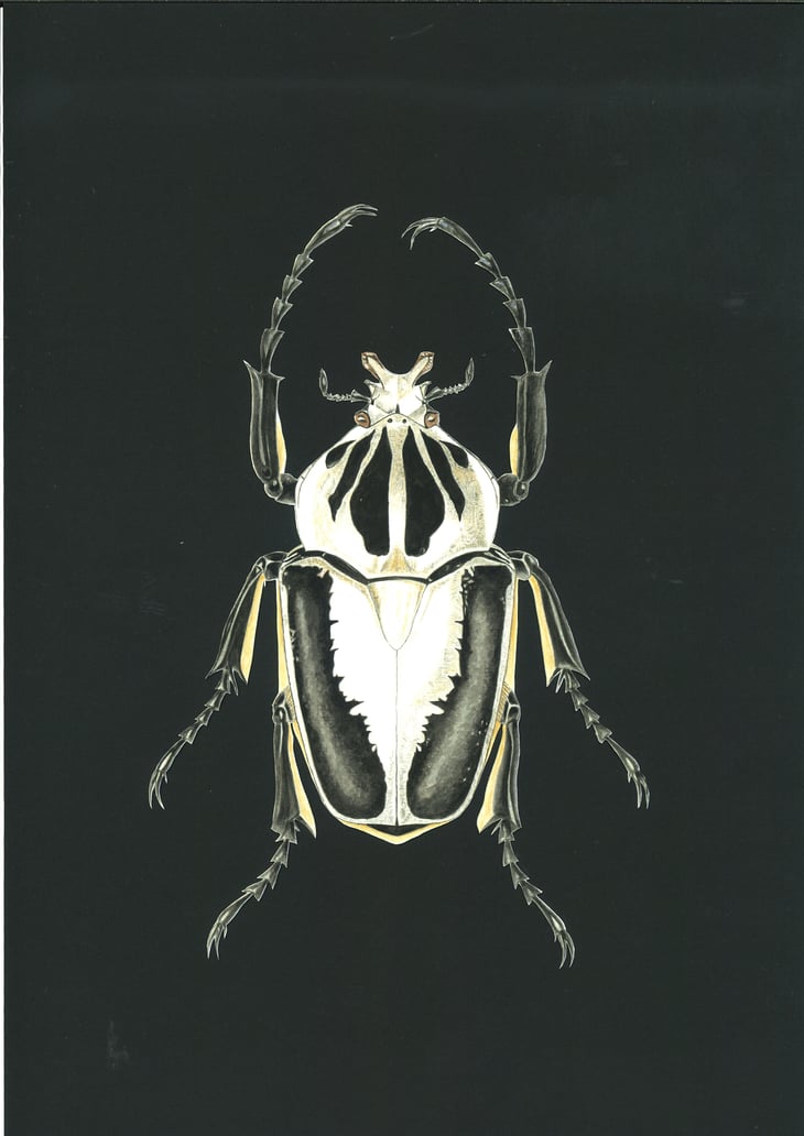 La Compagnon