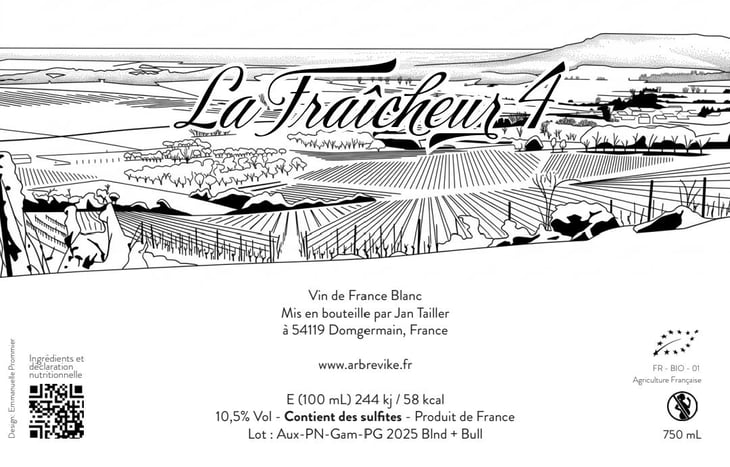 La Fraîcheur 4 - L’Arbre Viké - jan-tailler -2026
