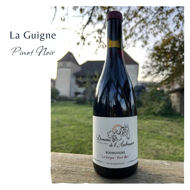 La Guigne - Pinot Noir - Domaine de l'Aubraine - caroline-thibaut-pariset -2023