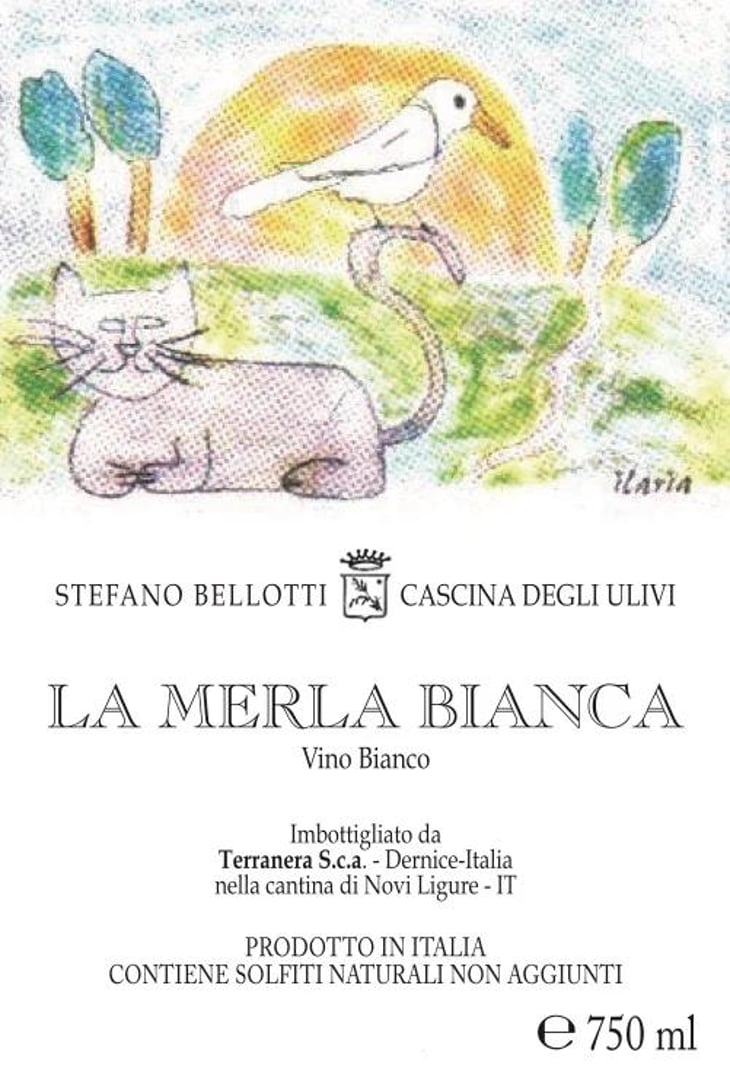 La Merla Bianca - Cascina degli Ulivi - ilaria-bellotti 
