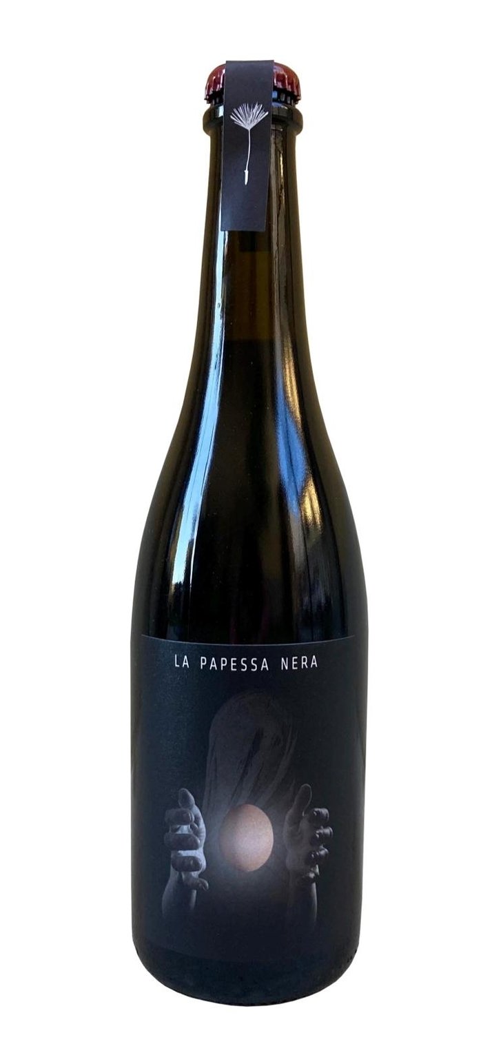 LA PAPESSA NERA - Clio Cicogni - clio-cicogni --