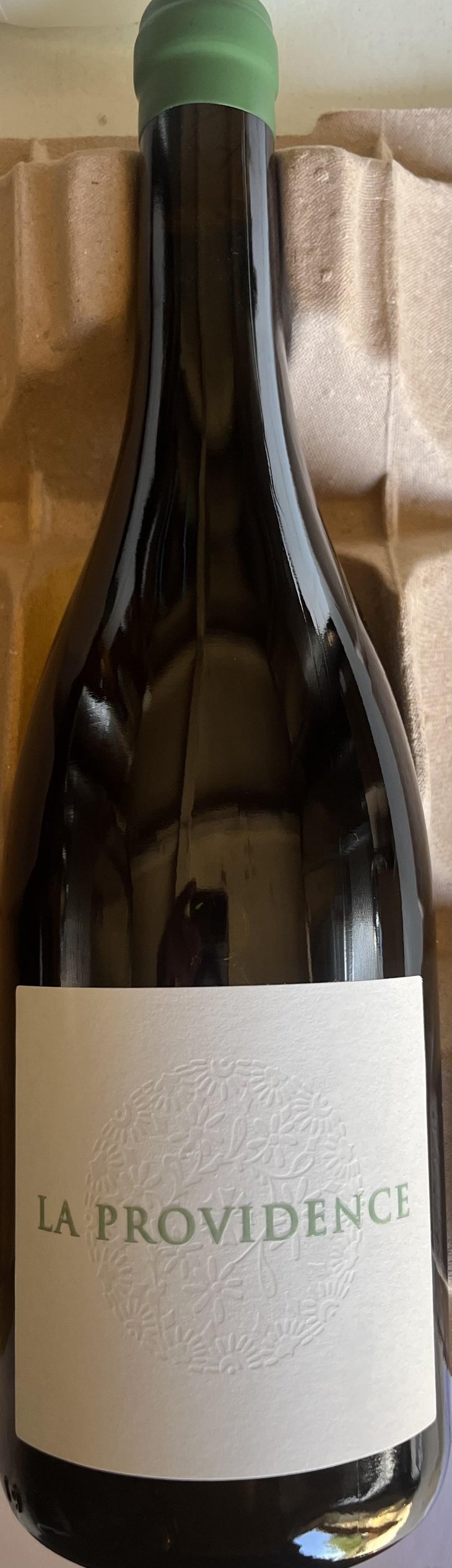 La Providence Blanc - Domaine La Providence - benedicte-jean-benoit-comor 