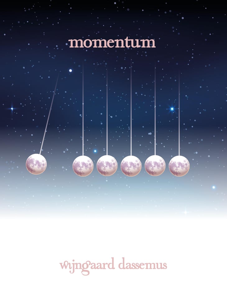 Momentum - Wijngaard Dassemus - ron-langeveld-monique-van-der-goes --