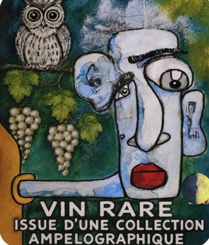 Collection raisins blancs - Conservatoire De Vignes Anciennes - karine-cyril-alonso -2025