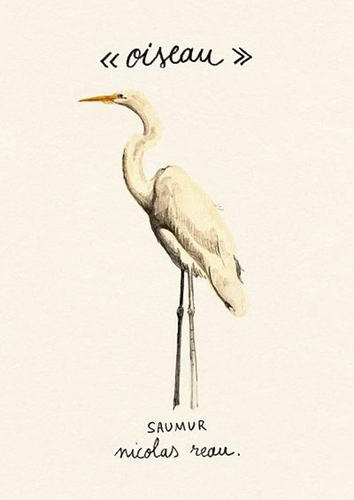 OISEAU - Le Clos des Treilles - nicolas-reau --