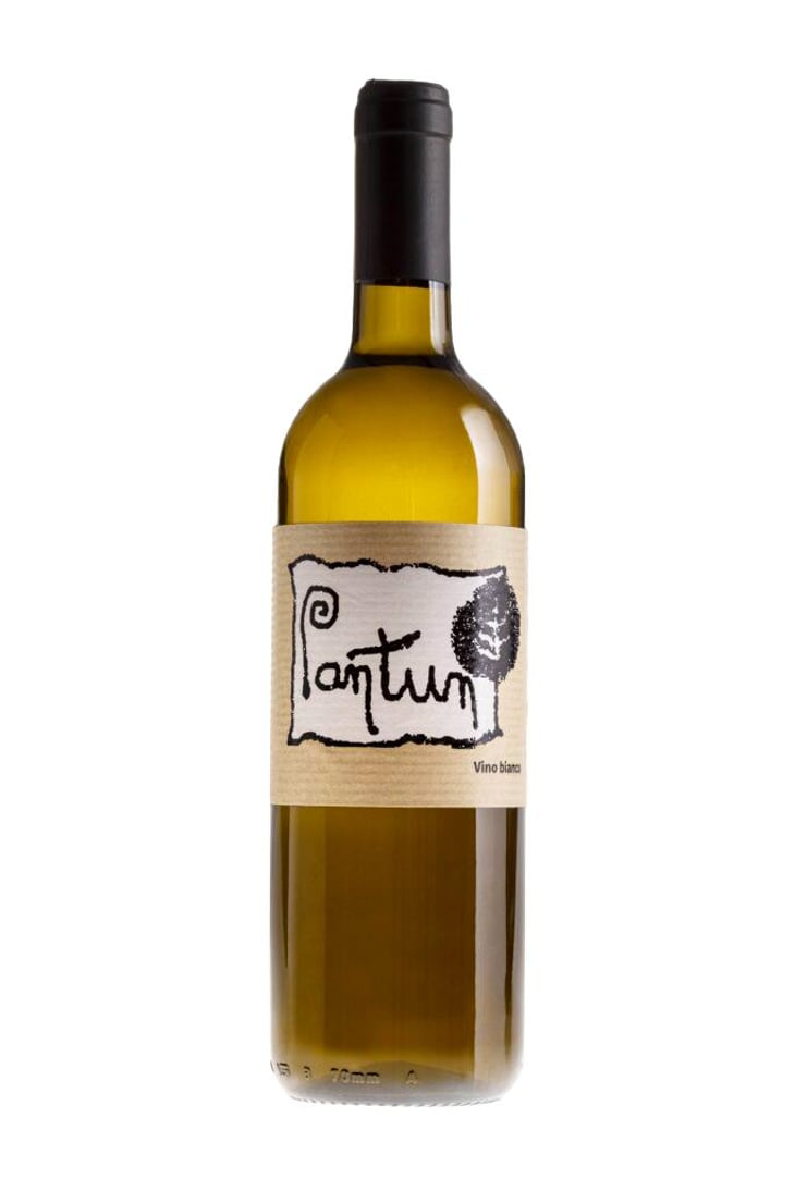 Pantun Bianco - Cantina Pantun - domenico-caragnano-jutta-benneker -2022