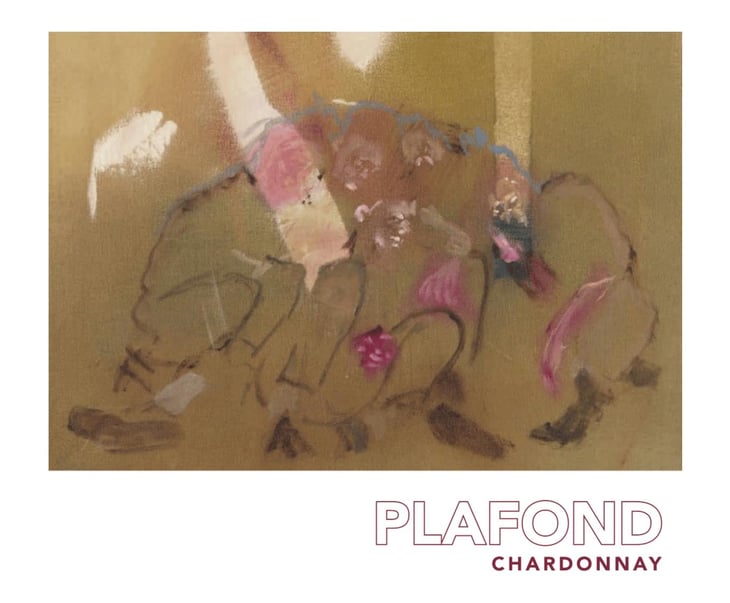 Plafond Chardonnay - Weinhof Uibel - michaela-leo-uibel 