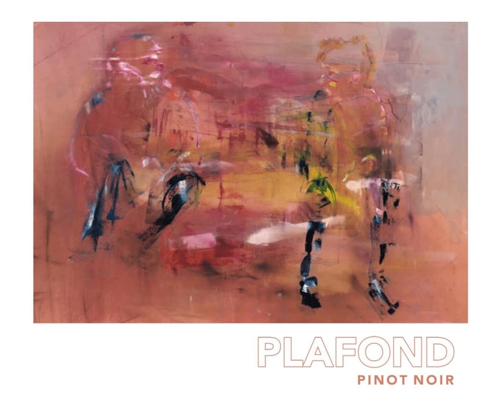 Plafond Pinot Noir - Weinhof Uibel - michaela-leo-uibel 