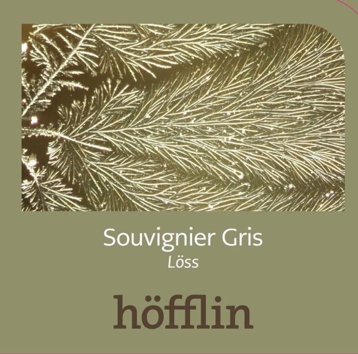 Souvignier Gris Löss - Weingut Höfflin - matthias-und-julius-hofflin 