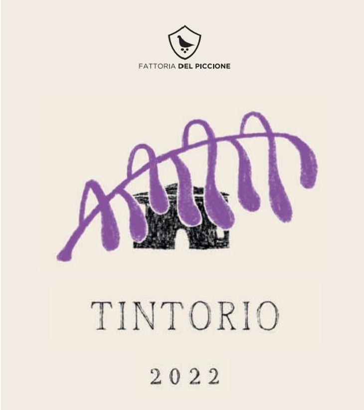 Tintorio - Fattoria del Piccione - stefano-pasini 