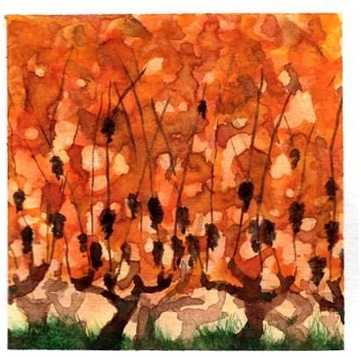 OCTOBRE ORANGE (Liquoreux) - Bertin Delatte - nicolas-bertin-genevieve-delatte -2020