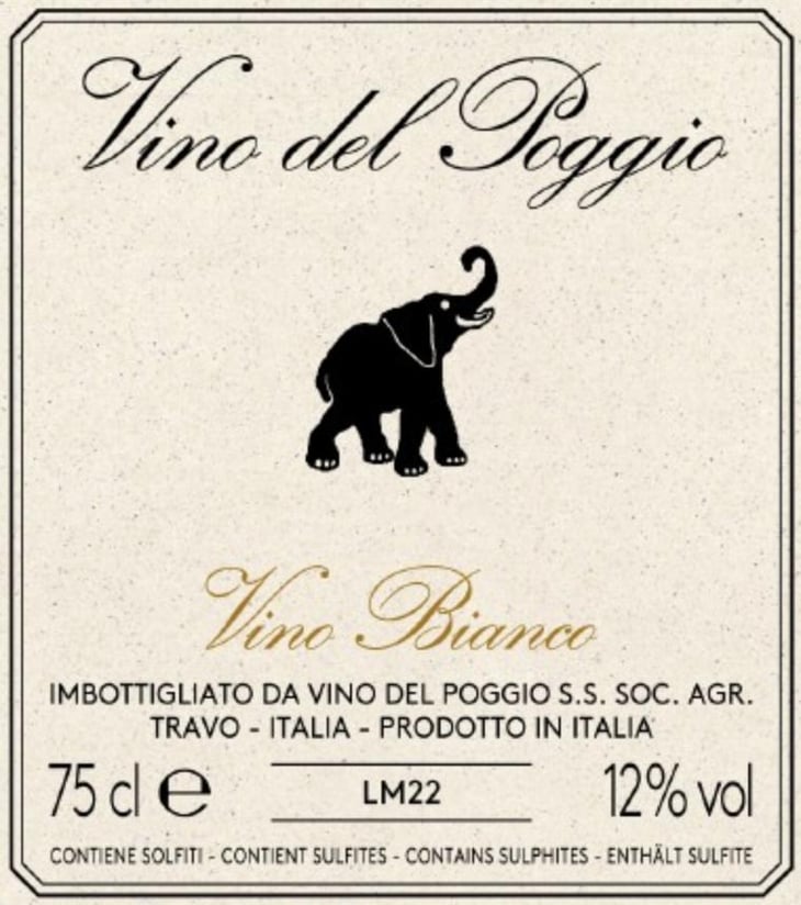 Vino Bianco - Vino del Poggio - andrea-cervini 