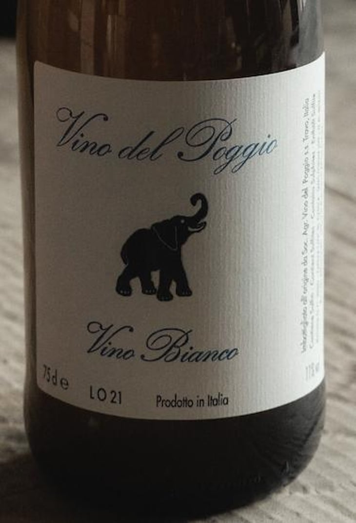 Vino Bianco - Vino del Poggio - andrea-cervini 