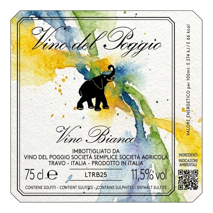 Vino Bianco - Vino del Poggio - andrea-cervini -2025