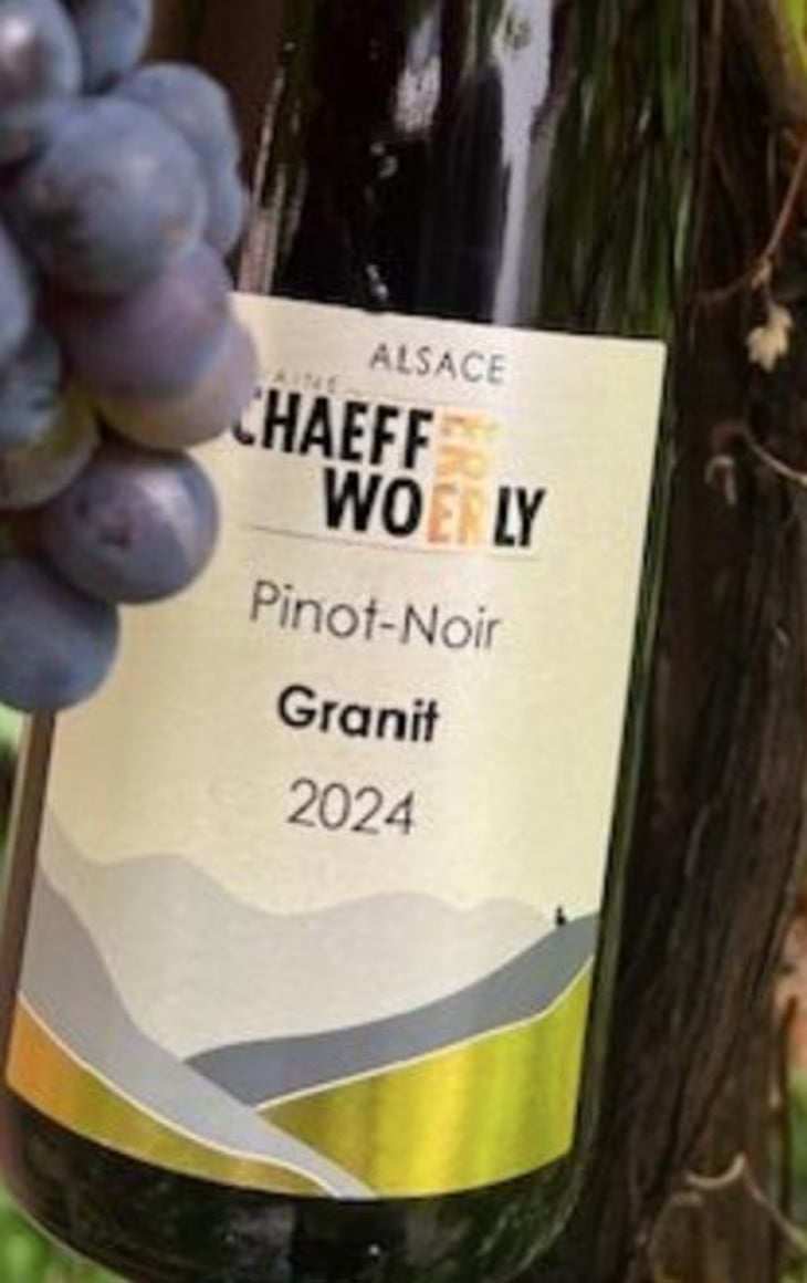 Granit - Domaine Schaeffer-Woerly - maxime-lucie-vincent-woerly 