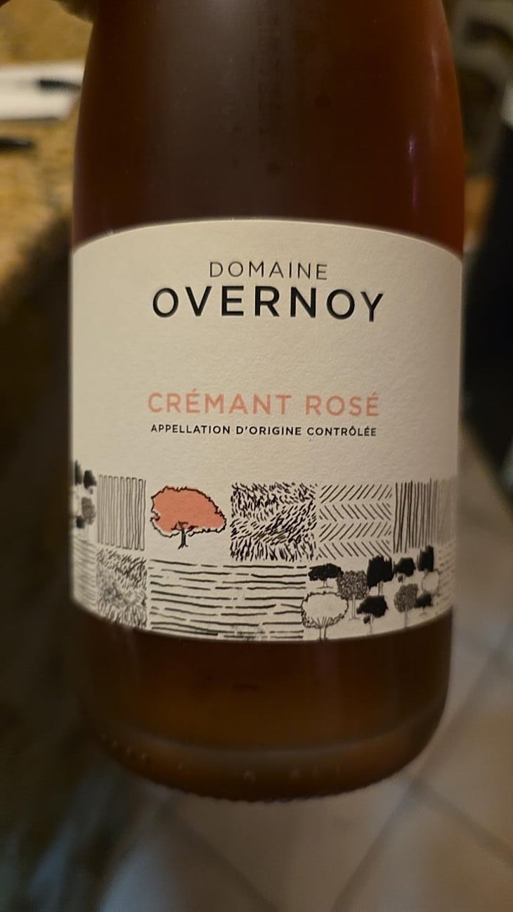 Crémant Rosé - Domaine Overnoy - guillaume-overnoy -2020