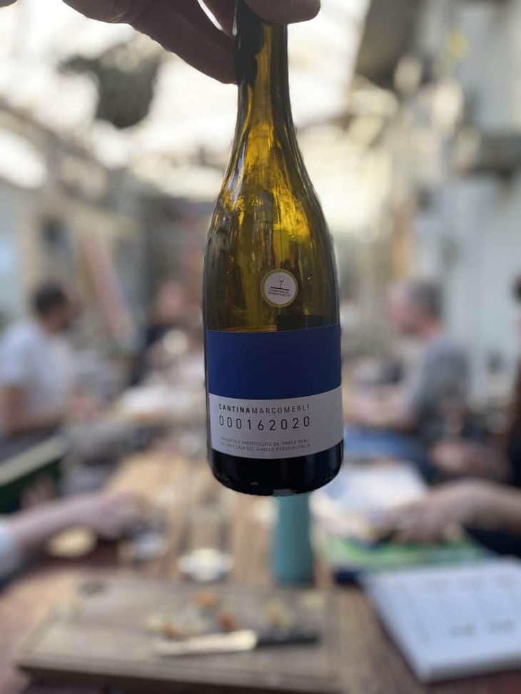 000152019 - Cantina Marco Merli - Marco Merli 