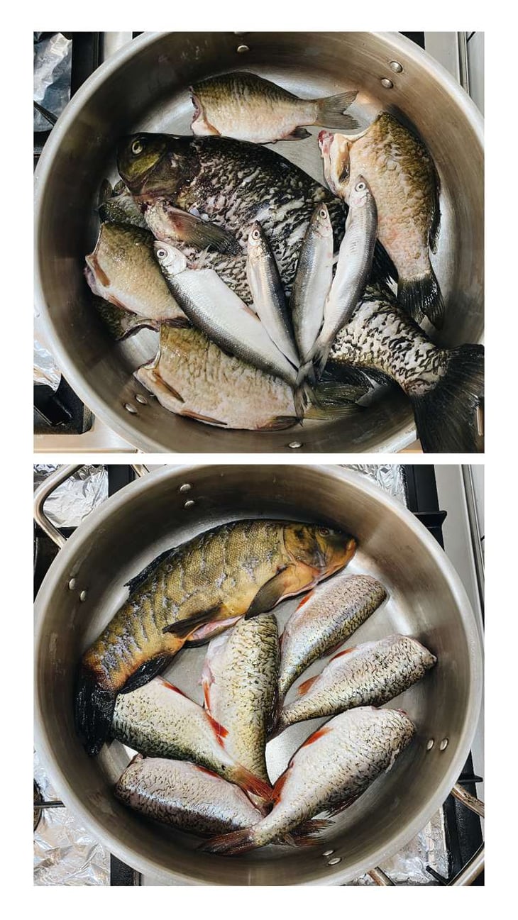 Forgotten Fish Soup Made With A Bunch Of Different Locally Caught Fish - Kwaśne Jabłko - 594787