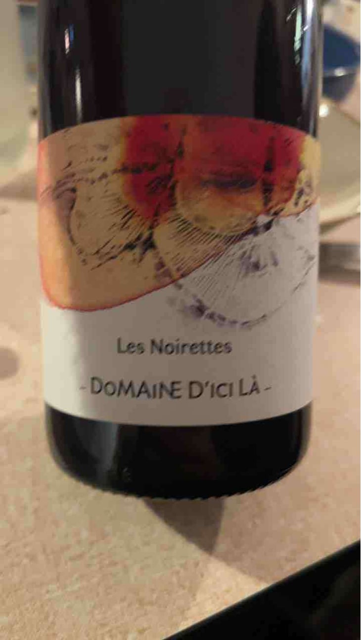 Les Noirettes - Domaine D'ici là - Adrien Bariol 