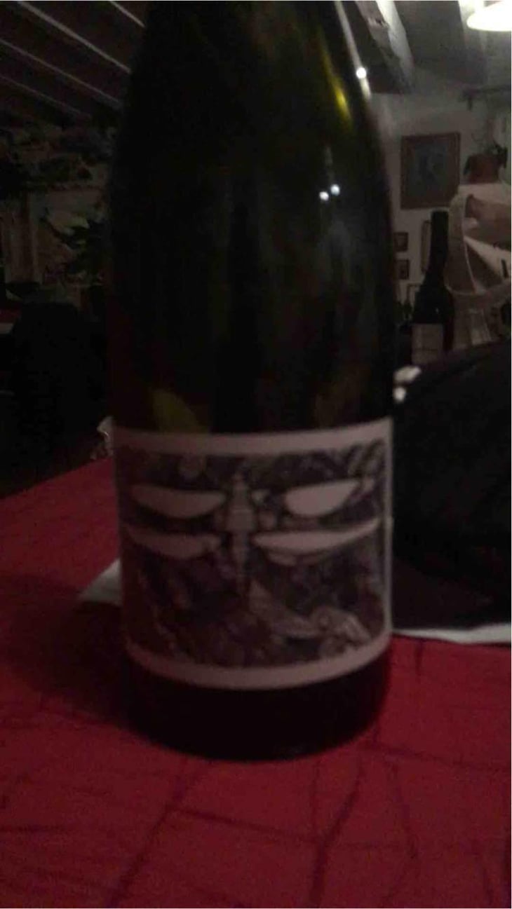 100% - Le Clos de la Bruyère - Julien Courtois & Heidi Kuka 